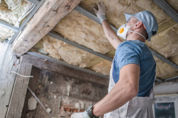 Best Energy Efficiency Insulation in Demorest, GA
