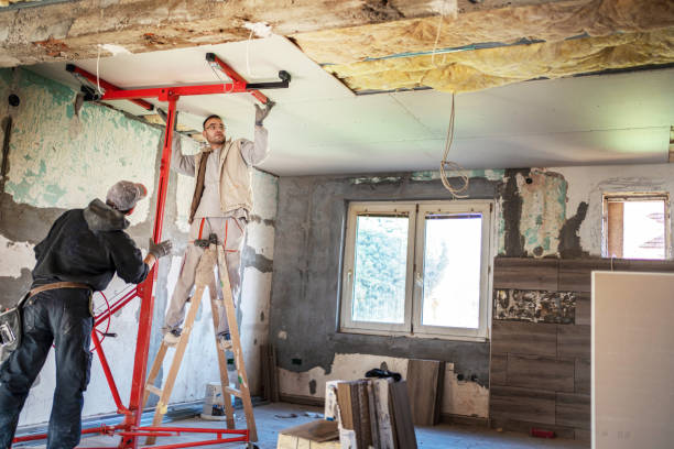 Best Insulation Maintenance and Repair in Demorest, GA